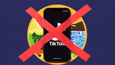 ប្រទេសសូម៉ាលីហាមប្រាម TikTok, Telegram