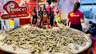 ផលិតផលចម្រុះសម្រាប់មនុស្សជ្រើសរើស