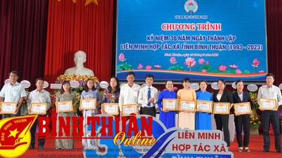 Kỷ niệm 30 năm thành lập và phát triển