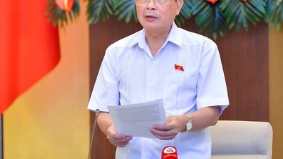 Will give opinions on energy monitoring topic in September 2023