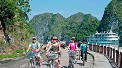 Nông dân Việt Hải (Hải Phòng) ‘đổi đời’ nhờ du lịch