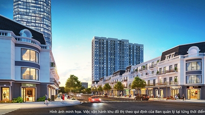 Lộ diện bến đỗ của dòng vốn “di cư” khi nhà đầu tư đón đầu pha tăng trưởng của thị trường