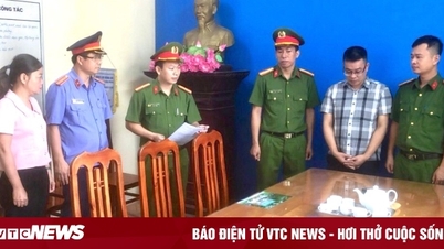Trưởng phòng Công ty Bảo Việt Hà Nam bị bắt