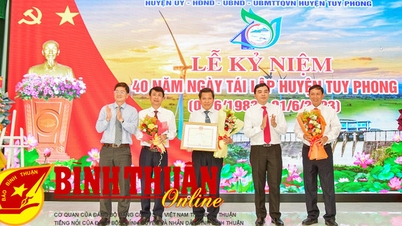 Tuy Phong cần cơ cấu lại các ngành nghề, lĩnh vực có tiềm năng, lợi thế