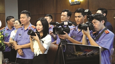 Bài bản, kiên quyết, kiên trì