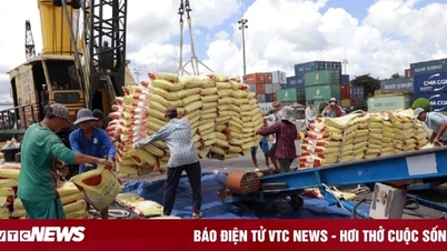 Xuất khẩu gạo 2024 khả năng đạt kỷ lục mới