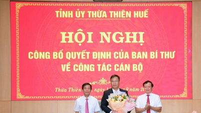 Thừa Thiên - Huế có tân Phó Bí thư Tỉnh uỷ