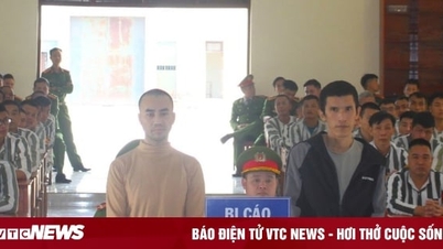 Two prisoners who escaped from Xuan Ha Prison continue to receive sentences