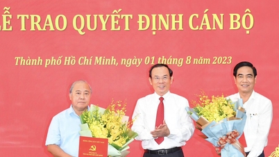 Ho Chi Minh City Party Committee awards cadre decisions
