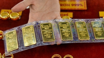 SJC មាស "តម្លៃឆ្កួត"