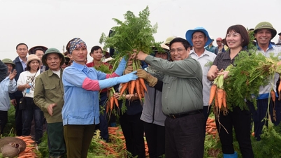 Prime Minister goes to the fields to plant and harvest with farmers, encouraging agricultural production