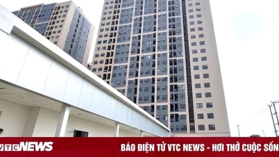 Phát hiện người giàu vẫn mua nhà ở xã hội, Sở Xây dựng Đà Nẵng chỉ đạo khẩn