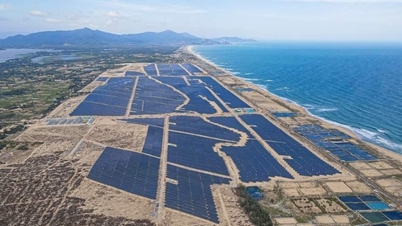 Bamboo Capital (BCG) Phu My solar power output increased by 28%