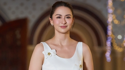 “The most beautiful star in the Philippines” chooses a dress by a Vietnamese designer