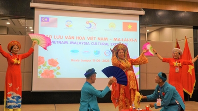 Ấn tượng giao lưu văn hóa nghệ thuật truyền thống Việt Nam-Malaysia