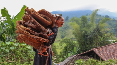 Người Dao Tiền và cách chế biến sáp ong khoái
