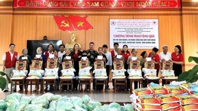 Quang Nam អនុវត្តចលនា "មនុស្សធម៌តេត" ឆ្នាំនាគ - 2024