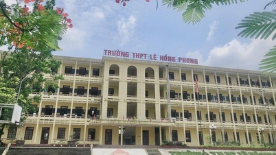 Thông tin mới vụ lên điểm nhầm khiến học sinh trượt thành thủ khoa