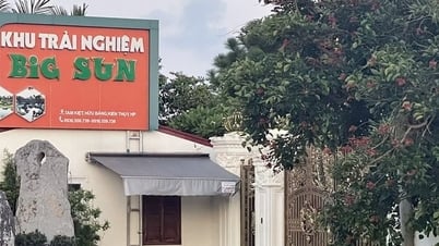 Kỷ luật 6 cá nhân liên quan đến vụ Big Sun