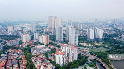 3,100 apartment transfer transactions in August 2024