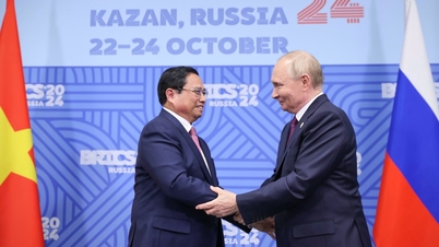 Thủ tướng Phạm Minh Chính hội đàm với Tổng thống Nga Vladimir Putin