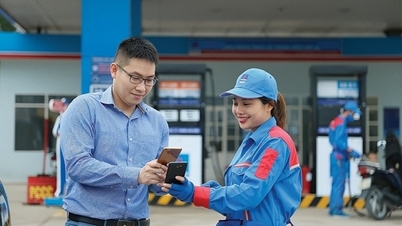 Giá xăng dầu hôm nay 2/11/2024: Ổn định