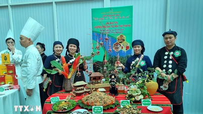 Lần tiên đầu tổ chức Liên hoan ẩm thực các món ăn chế biến từ cây chè