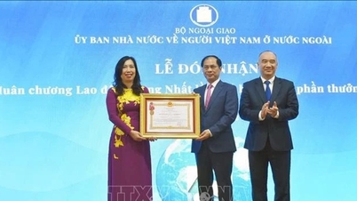 Đưa công tác người Việt Nam ở nước ngoài lên tầm cao mới