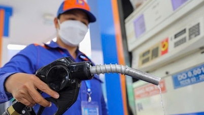 Proposal to continue reducing environmental protection tax by VND 2,000/liter of gasoline in 2025