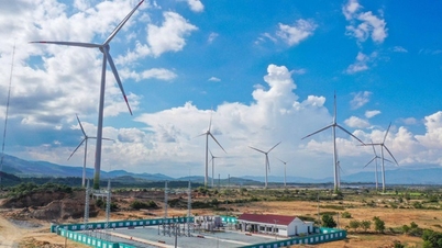 51 dự án điện tái tạo đã có giá bán, 472 MW được phát lên lưới