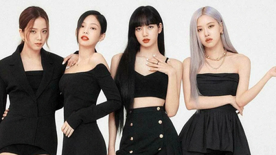 Sở Văn hóa họp về đề nghị thu hồi giấy phép của Blackpink