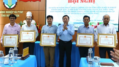 សន្និបាតបូកសរុបការអនុវត្តគោលនយោបាយរយៈពេល៥ឆ្នាំ ដើម្បីជំរុញកិច្ចសហប្រតិបត្តិការ និងសមាគមក្នុងផលិតកម្ម និងការប្រើប្រាស់ផលិតផលកសិកម្ម