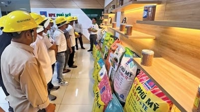 NPK Phú Mỹ gắn kết “Đất màu mỡ