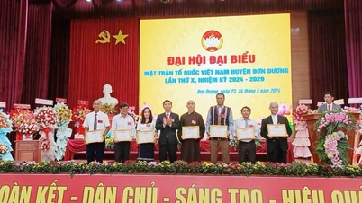 សមាជរណសិរ្សស្រុកដនឌួង