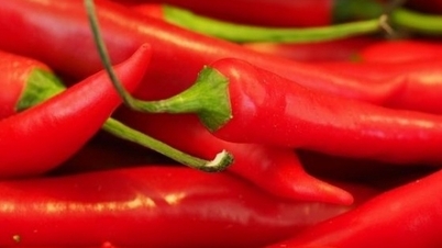 South Korea announces re-inspection of hot peppers imported from Vietnam