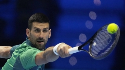 Tennis player Novak Djokovic entered the semi-finals of ATP Finals 2023
