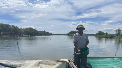 Building a brand and finding outlets for cage fish farming in Duy Ninh