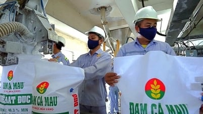 Đạm Cà Mau sắp hoàn thành mục tiêu xuất khẩu, lên kế hoạch tiêu thụ Urê, NPK cao kỷ lục