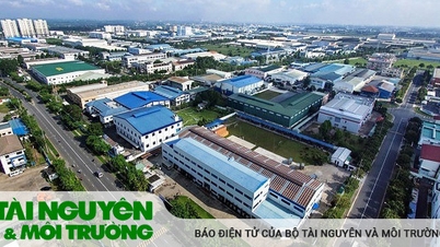 Authorizing the Management Board of industrial parks, export processing zones, and economic zones to issue environmental licenses.