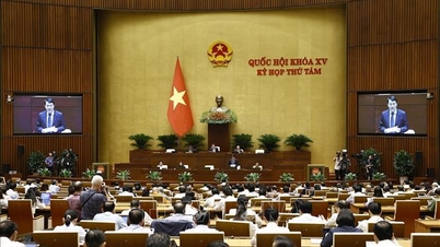 Thông cáo báo chí số 2, Kỳ họp thứ 8, Quốc hội khóa XV