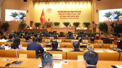 Hà Nội kiểm soát tốt quyền lực khi thực hiện thí điểm chính quyền đô thị