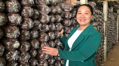 ការផ្សារភ្ជាប់ផលិតកម្មប្រកបដោយនិរន្តរភាព