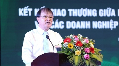 Connecting trade between the Central Highlands and the Central region with export enterprises and trade promotion organizations