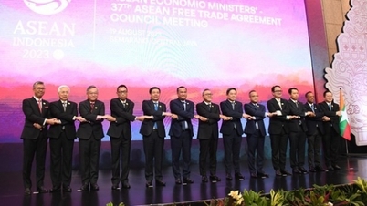 Khai mạc chuỗi Hội nghị Bộ trưởng Kinh tế ASEAN lần thứ 55, Việt Nam đóng góp ý kiến đẩy mạnh hợp tác nội khối