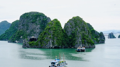 Nguồn thu của vịnh Hạ Long chưa xứng tầm di sản thế giới