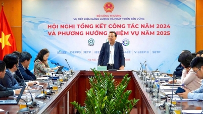 Tổng kết hoạt động năm 2024, triển khai nhiệm vụ năm 2025 công tác Tiết kiệm năng lượng, Phát triển ...