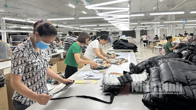 Businesses overcome difficulties to ensure jobs and income for workers