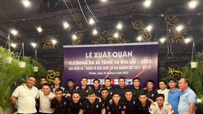Gia Lai có 1 đại diện tranh tài ở Giải Bóng đá 7 người toàn quốc | Báo Gia Lai điện tử