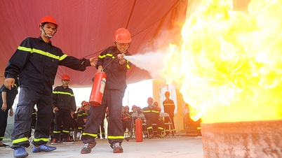 Cha mẹ đôn đáo tìm trại hè cho trẻ