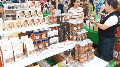베트남 국제 박람회에서 600건 이상의 비즈니스 거래가 이루어졌습니다.